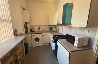 Mount Street, North Hill, Plymouth - Image 3